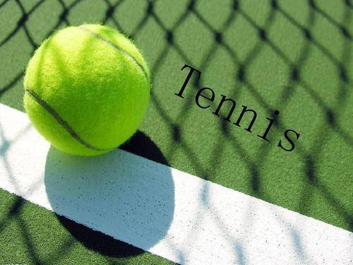 的理智选择 的理智选择